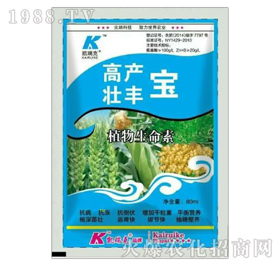 �߮a(ch��n)���S��-�P���