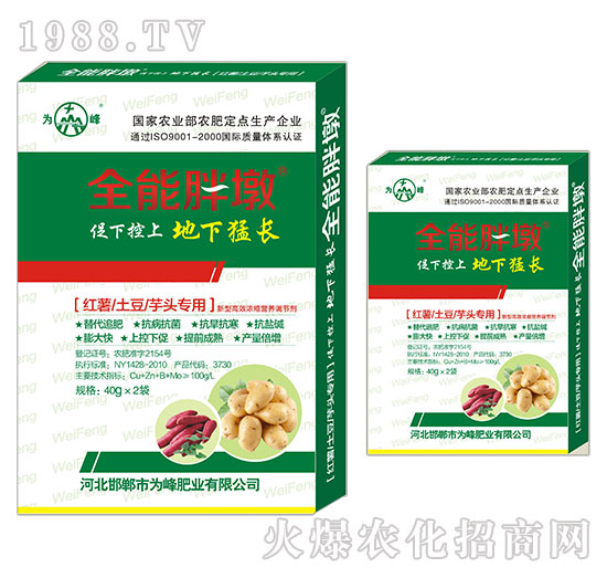 �t�������������^����-ȫ���ֶ�-���