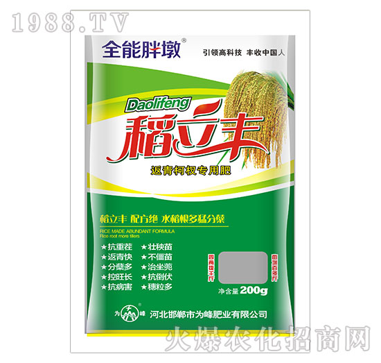 �����S-�����辌��÷�-���