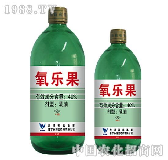 40%����(l��)��-���{(l��n)