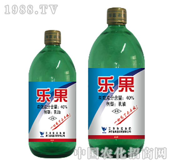 40%��(l��)��-���{(l��n)