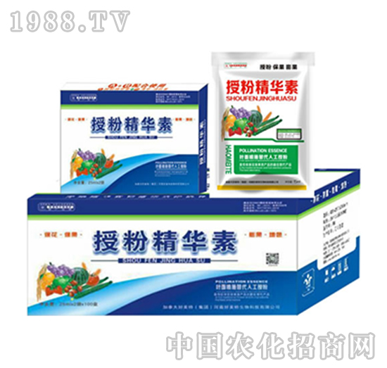 �ڷ۾��A��-������