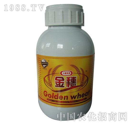 С������-����-�W��˹