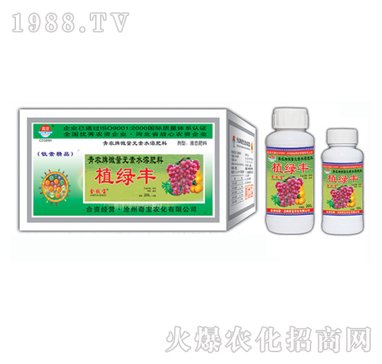 ֲ�G�S���ь���-�挚�r��