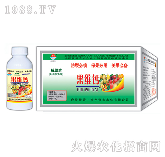 300g���S�}-�挚�r��