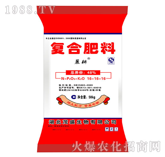 �ͺϷ���16-16-16-����-ïʢ