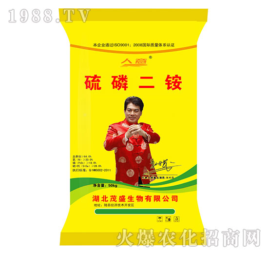 ������@-����-ïʢ