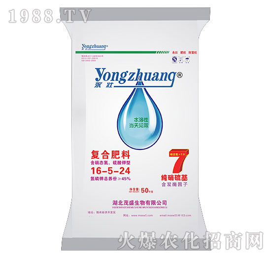 �ͺϷ���16-5-24-ïʢ