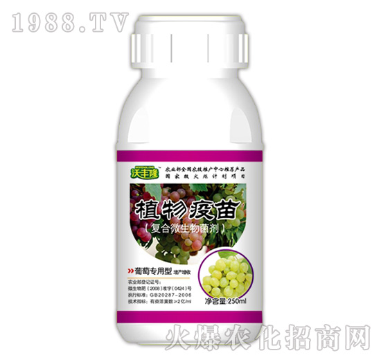 ֲ�����磨���ь����ͣ�-���S¡-��(qi��ng)