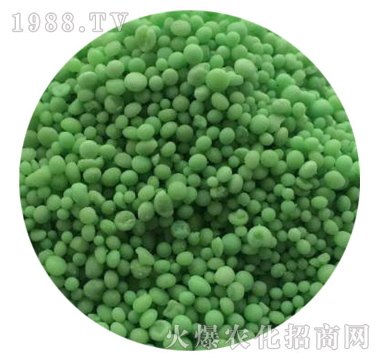 �����B(t��i)����(f��)�Ϸ���20-20-20-���������w����-ֲ������