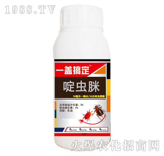 5%��x(ch��ng)��-һ�w�㶨-�읙(r��n)����