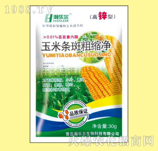 ���חl�ߴֿs��-嫘�(l��)��