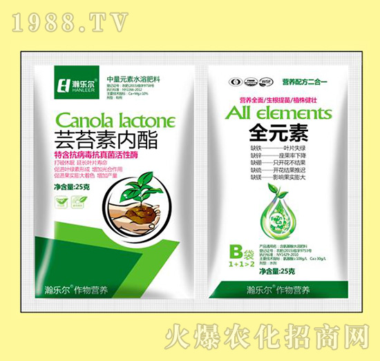 �|̦�؃�(n��i)��+ȫԪ��-嫘���