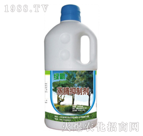 ���v���Ƅ�-�G��