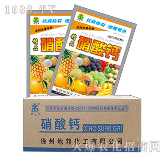 �����}-�ذ�Ȫ