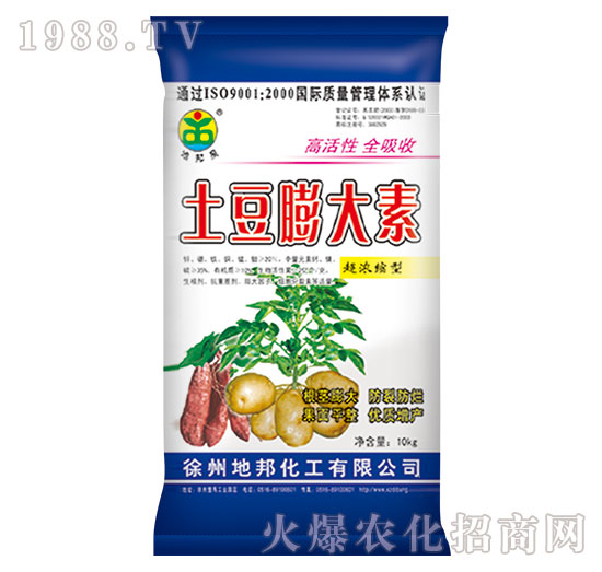 ���������-�ذ�Ȫ