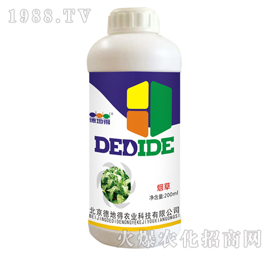 ���݌���-�µص�