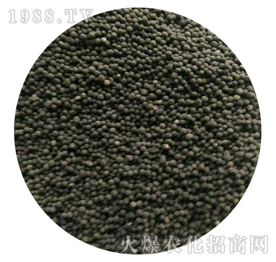 �������-�֠���(y��u)