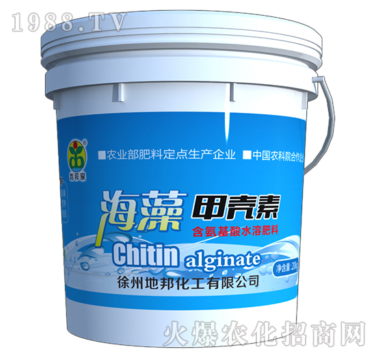 ����ך���-�ذ�Ȫ