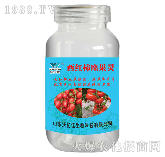 ���t�������`-�֠���(y��u)