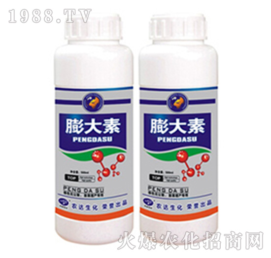 �����-�r(n��ng)�_(d��)����