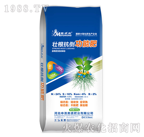 �Ѹ��������ܷ�40kg