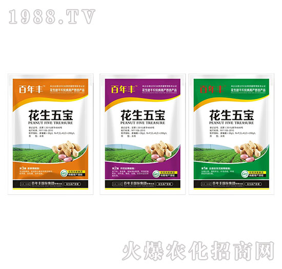 �����S�����匚-˼�h����