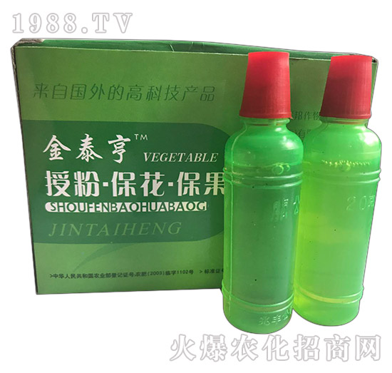 ��̩��-�ڷ۱���������