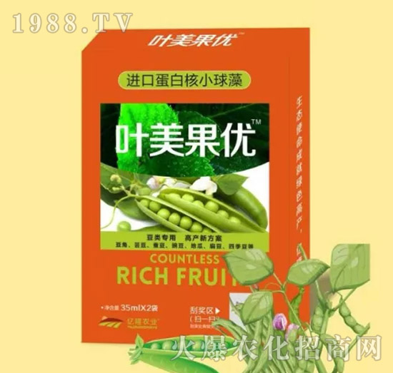 ������{��(ji��)��-�~������(y��u)-�|¡�r�I(y��)