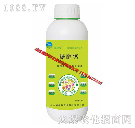 �Ǵ��}-������-������