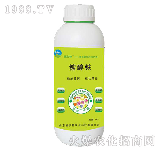 �Ǵ��F-������-������