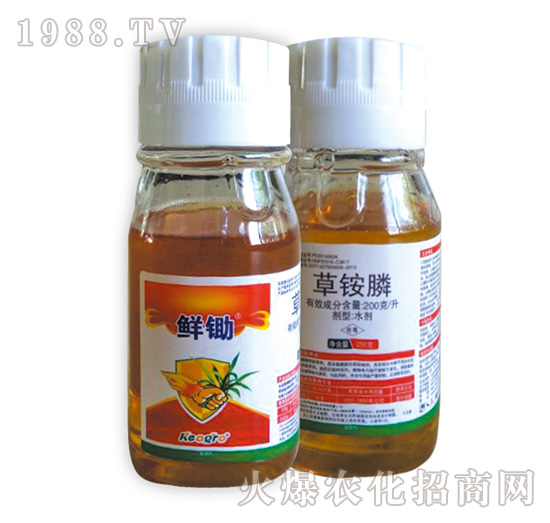 �r�z-���¿��r(n��ng)