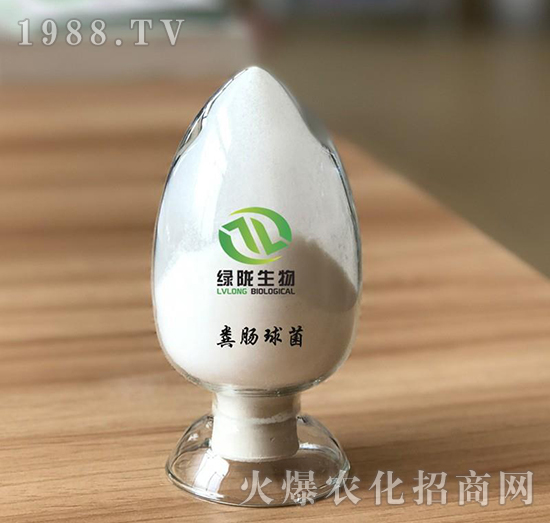 �S�c���-�G�]����