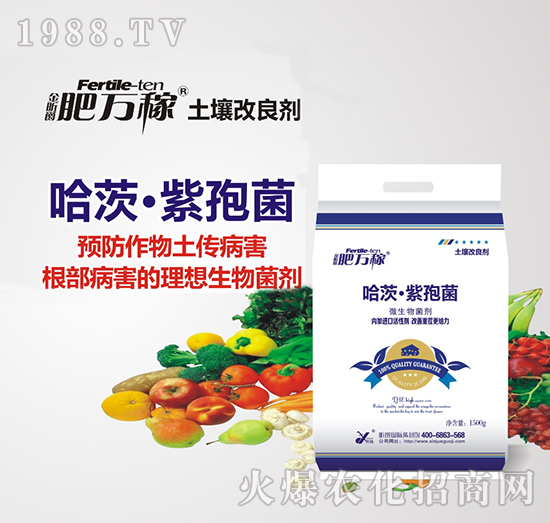 ΢�������-���ġ����߾�-���f(w��n)��-꿾�