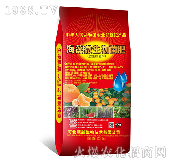 ����΢�������-΢�������-��Խ����