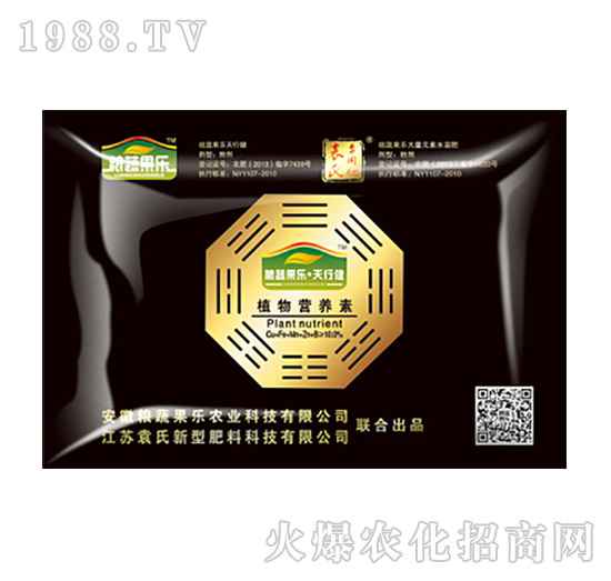 ֲ��I(y��ng)�B(y��ng)��-���н�-�Z�߹���