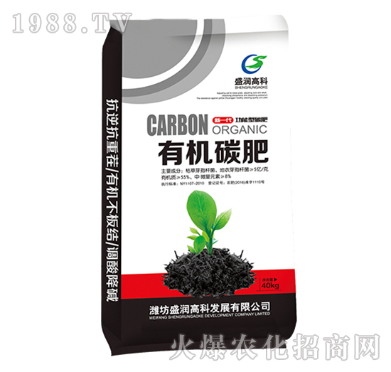 �ЙC(j��)̼��-ʢ���߿�