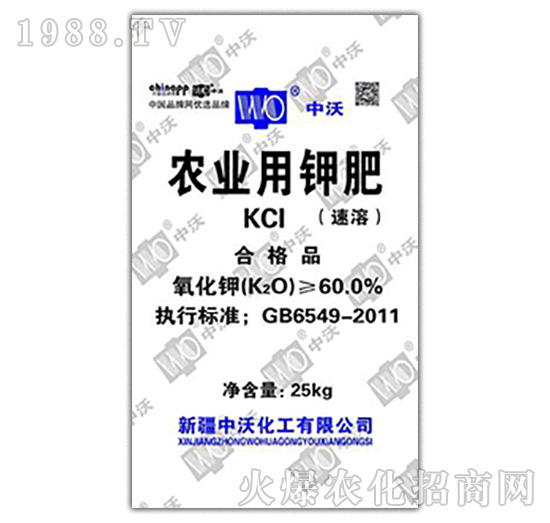 �r(n��ng)�I(y��)��⛷ʣ����ܣ�-���ֻ���