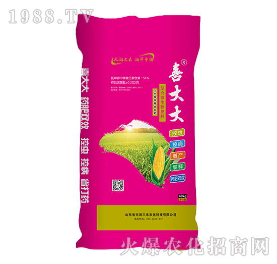 ϲ�������ˎ��-�읙����