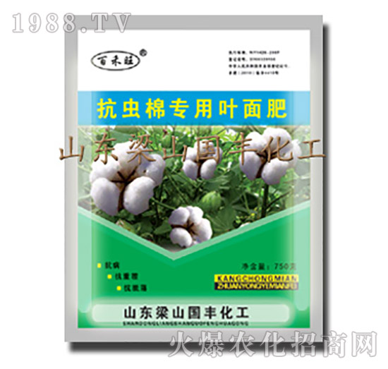 ���x�ތ����~���-��ɽ���S