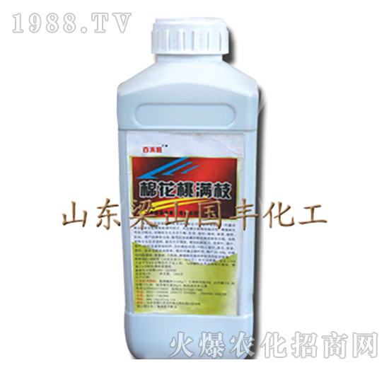 �޻��ҝM֦-��ɽ��(gu��)�S