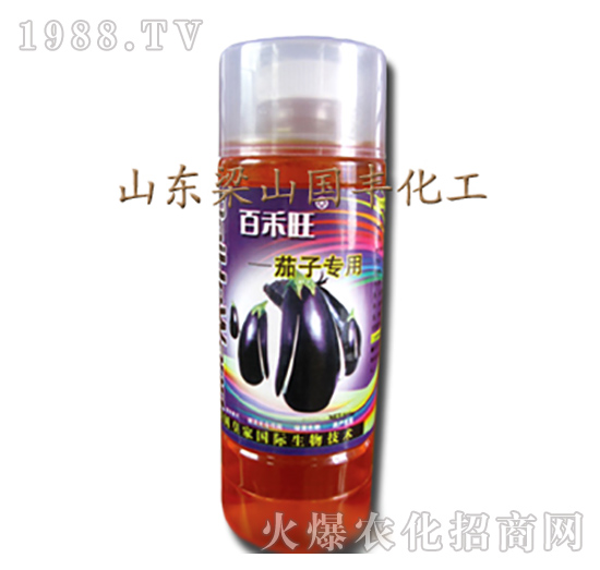 ���ӌ�(zhu��n)���~���-��ɽ��(gu��)�S