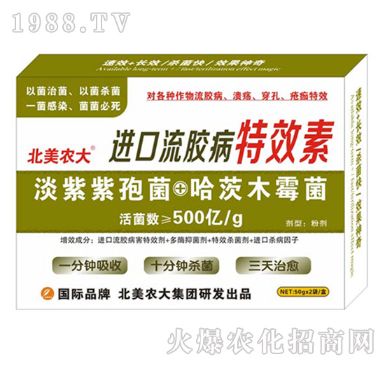 �M�����z����Ч��-�����r(n��ng)��