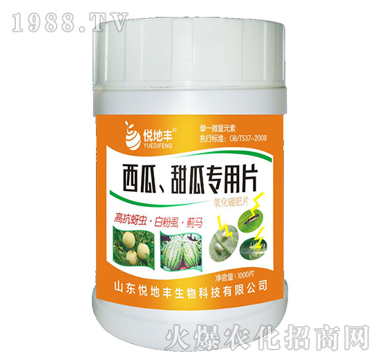 ��������ό���Ƭ��һ��һƬ��-�����S