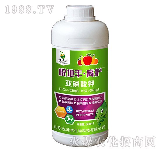 �������-���o(h��)-�����S