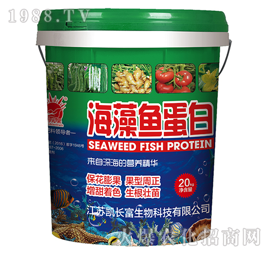 �����~����-�P�L��