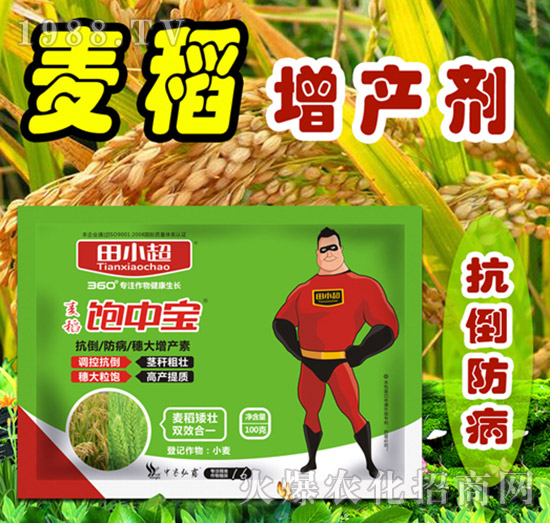 ������Ќ�-��С��