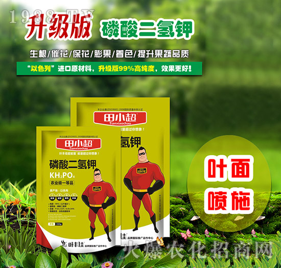 ��������-��С��