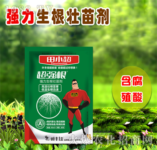 ��(qi��ng)���������焩-����(qi��ng)��-��С��