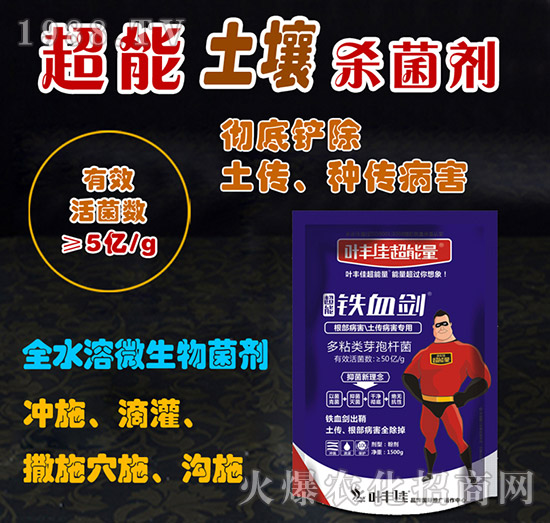 ����������������������-�FѪ��-�~�S�ѳ�����